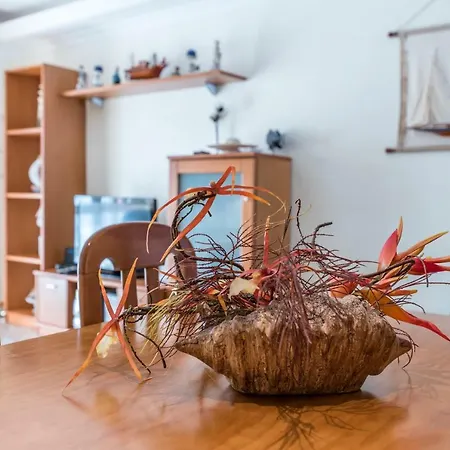 公寓 Apartamento Altura *